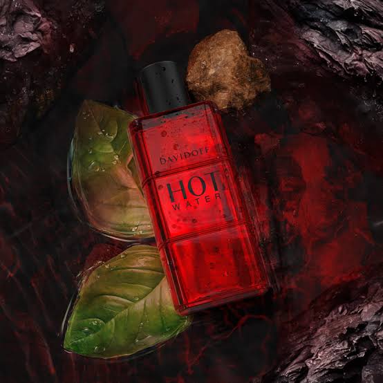 Davidoff Hot Water EDT – 110ml