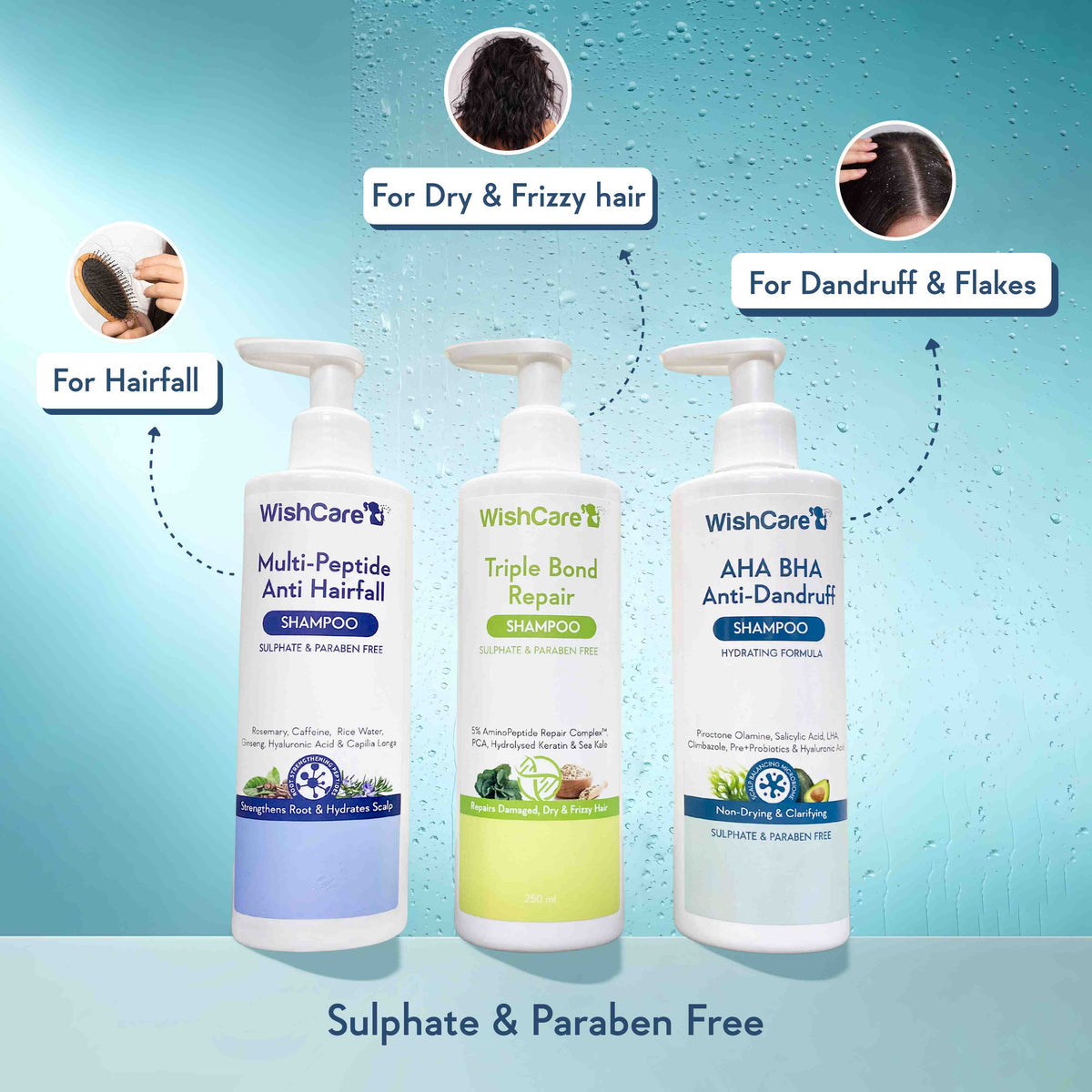WishCare AHA BHA Anti-Dandruff Shampoo