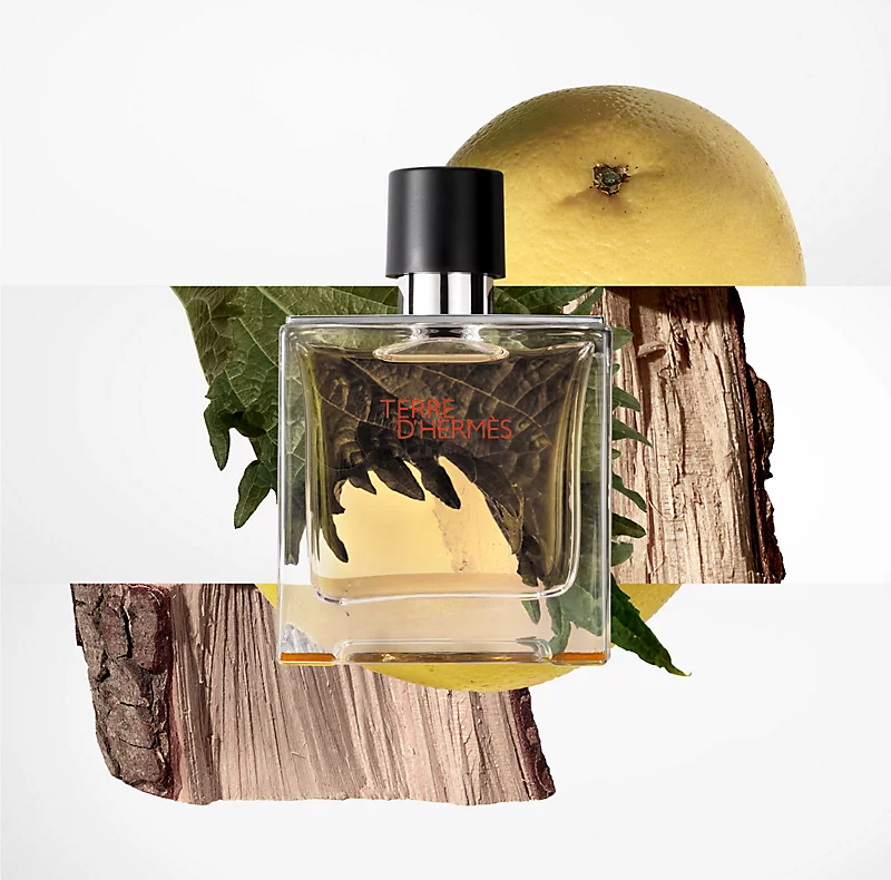 Terre d'Hermes Parfum Parfum 200ML