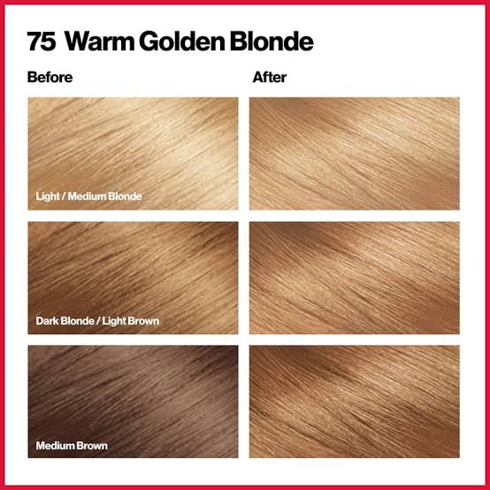 Revlon Colorsilk Hair Color Warm Glden Blonde 75