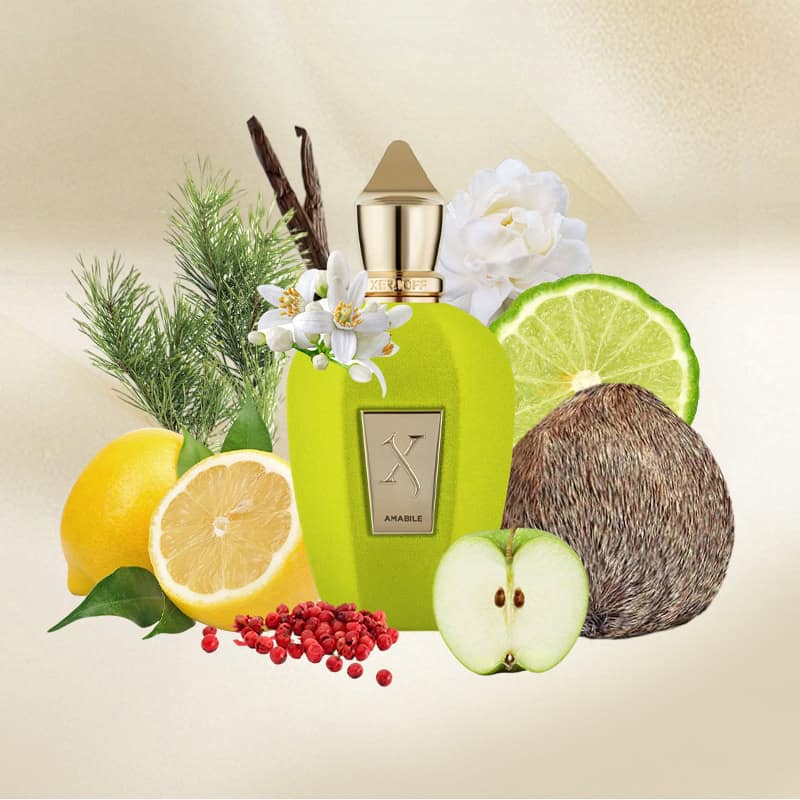 Xerjoff Amabile Eau de Parfum Unisex 100ml