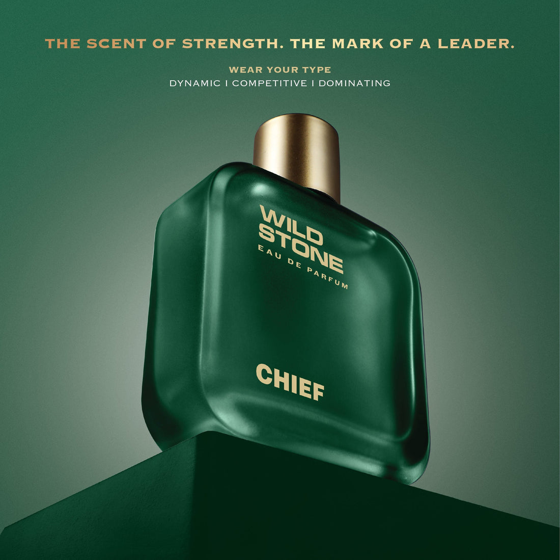 Wild Stone Chief Perfume for Men, 100ml| Luxury Eau De Parfum | Long-Lasting Fragrance | Best Gift for Him l Premium Perfume for Men l Infused with Aquatic and Woody Notes