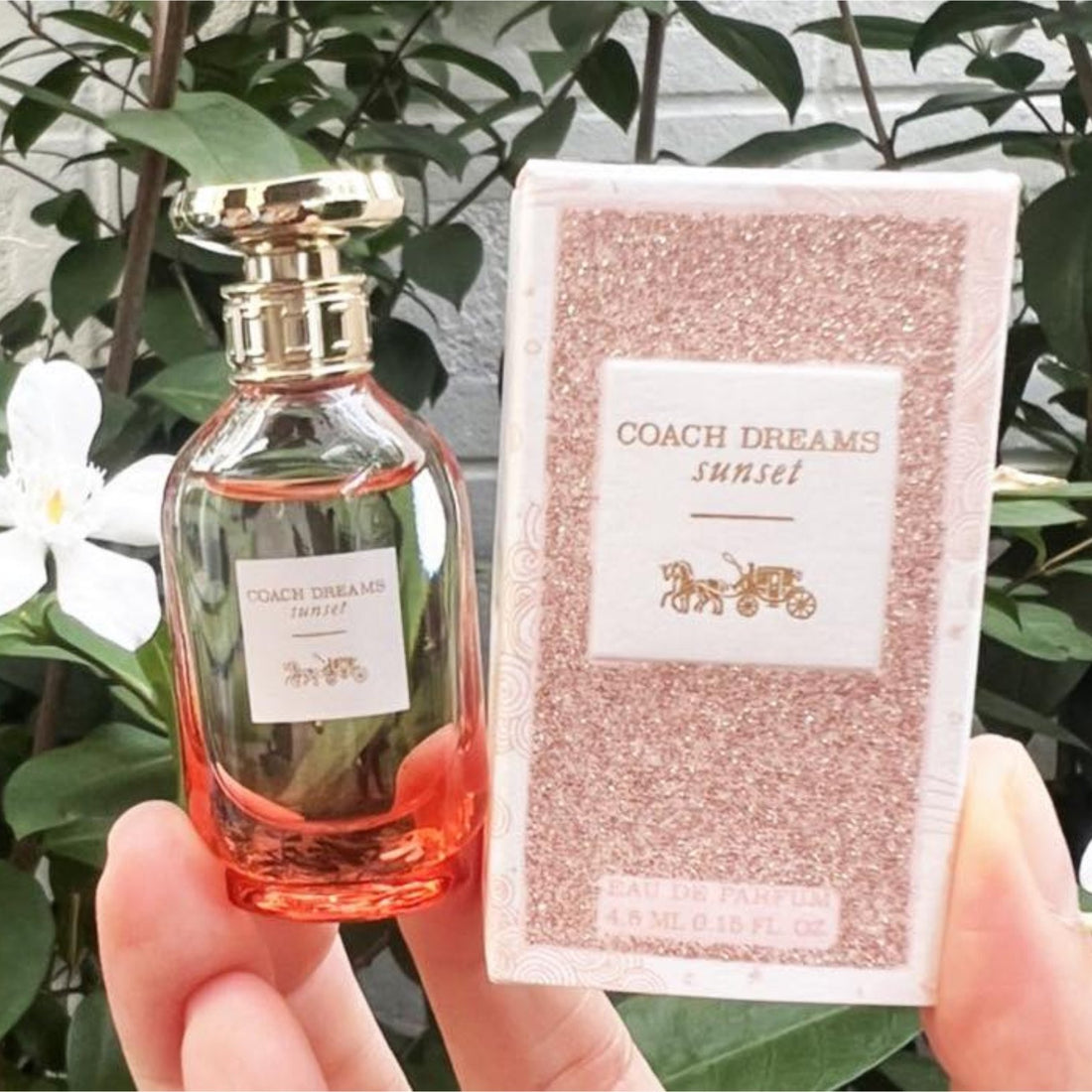 Coach Dreams Sunset Eau de Parfum Mini 4.5ml