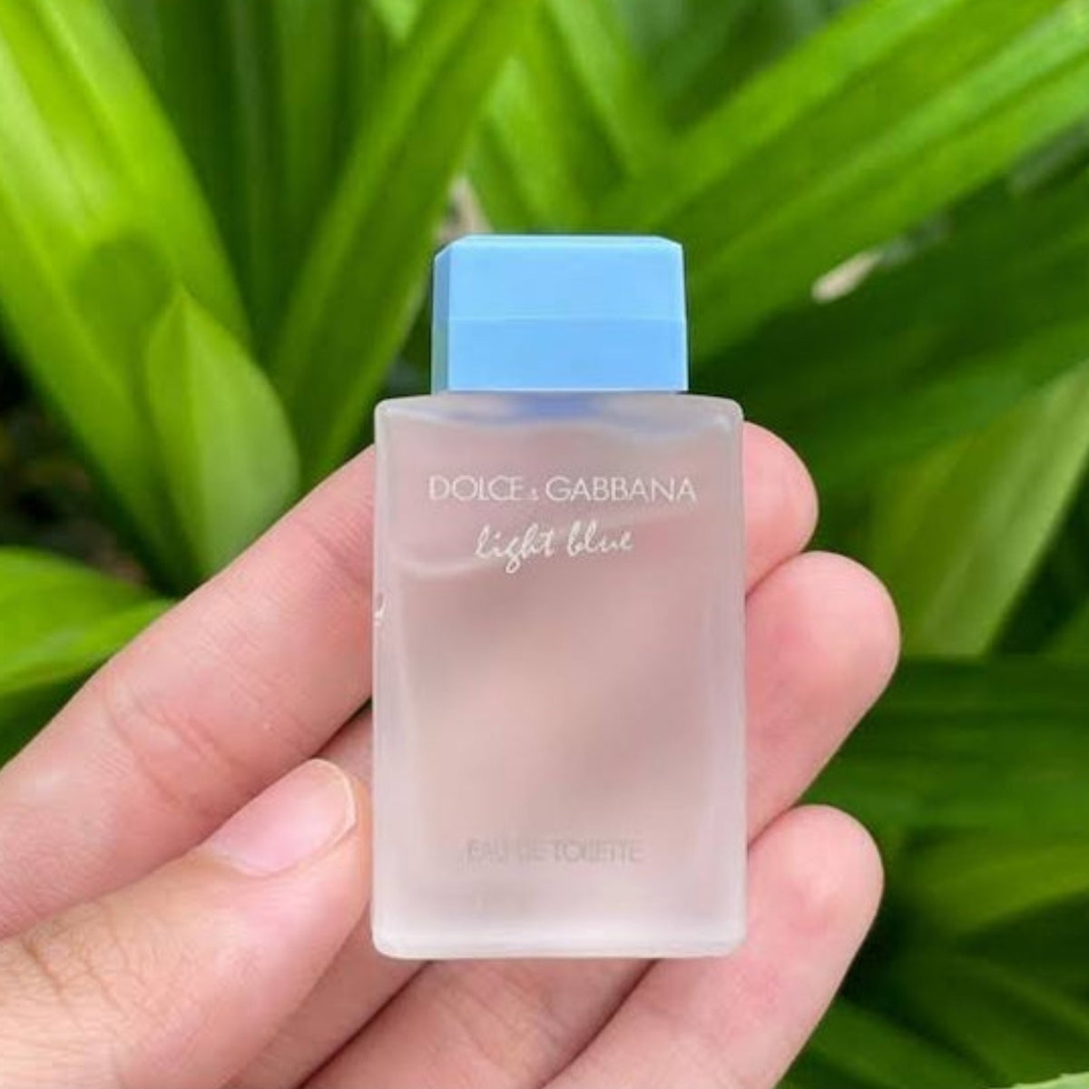 Dolce&Gabbana Light Blue Eau de Toilette Mini 4.5ml