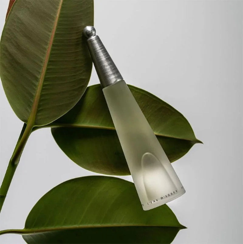 Issey Miyake L’eau D’issey EDT – 100ml